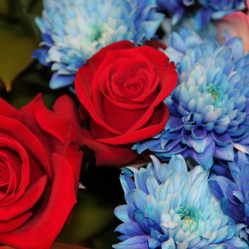 red roses with blue 