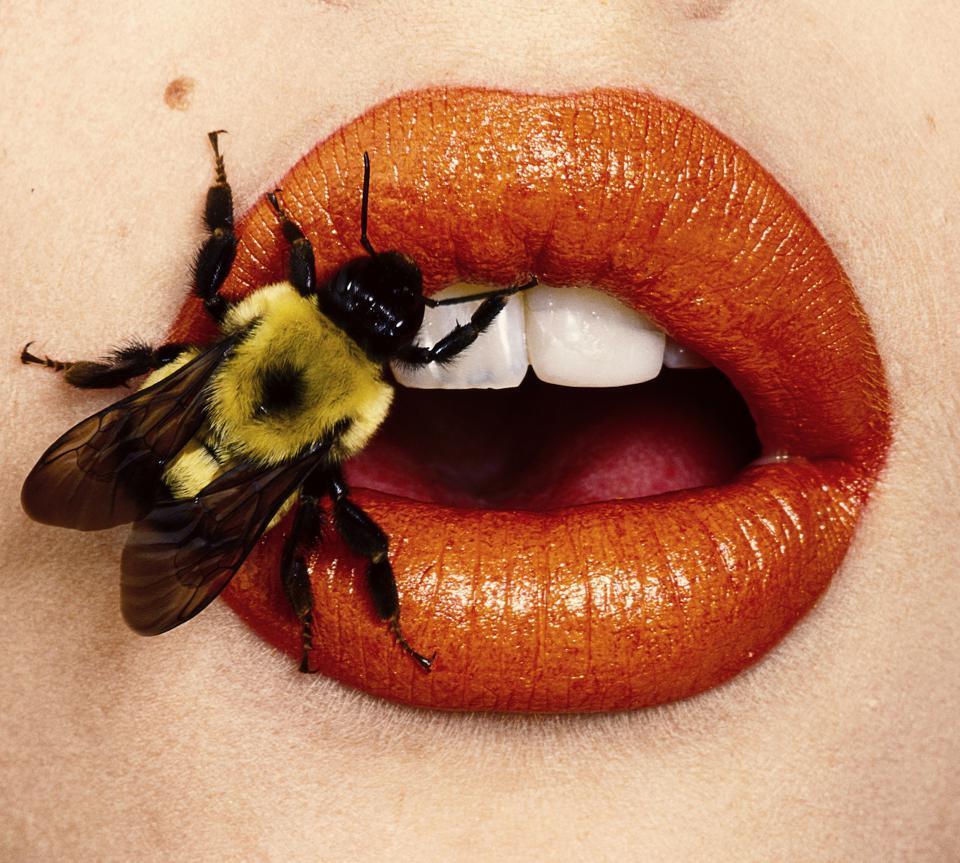 Up Close And Irving Penn With Photographism At The New York Pace Gallery | Alternative Fruit