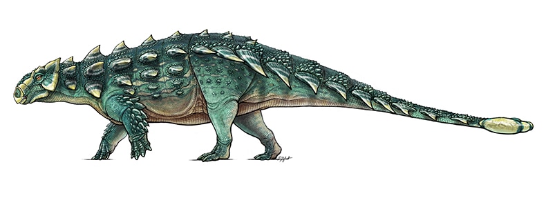 Zuul Dinosaur